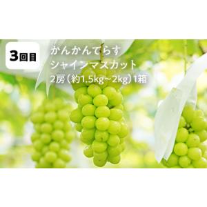 ふるさと納税 【2026年9月から発送開始】鏡...の詳細画像3