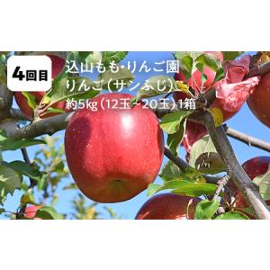 ふるさと納税 【2026年9月から発送開始】鏡...の詳細画像4
