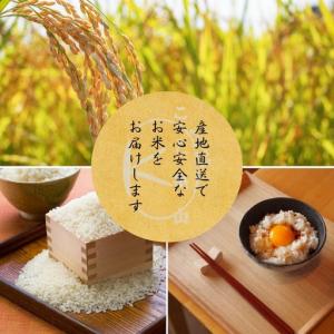ふるさと納税 にじのきらめき 米 定期便12回...の詳細画像3