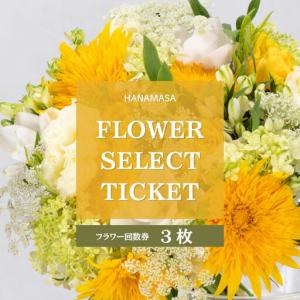ふるさと納税 HANAMASAフラワーセレクトチケット(3枚)| 花 チケット 記念 誕生日 サプライズ ギフト プレゼント 神奈川県 小田原市 神奈川県小田原市