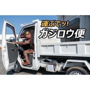 ふるさと納税 ガジロウ便 【関東・中部・近畿・...の詳細画像1