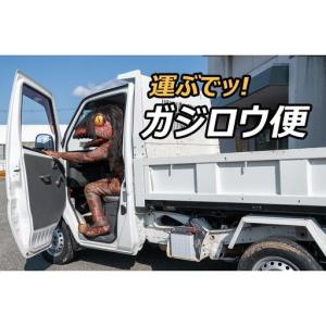 ふるさと納税 ガジロウ便 【関東・中部・近畿・...の詳細画像1