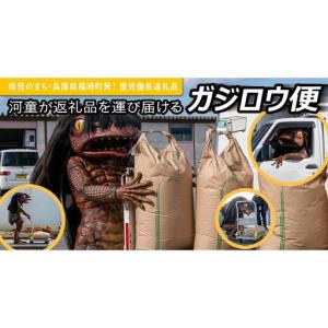 ふるさと納税 ガジロウ便 【北海道・東北・九州...の詳細画像1