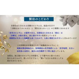 ふるさと納税 北海道産八雲産ニシキ貝の貝殻化石...の詳細画像1