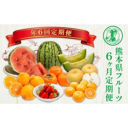 ふるさと納税 【 6か月 連続 定期便 】 熊本県 フルーツ 6ヶ月 定期便 果物 くだもの 旬 い...