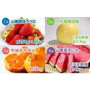 ふるさと納税 【 6か月 連続 定期便 】 熊...の詳細画像1