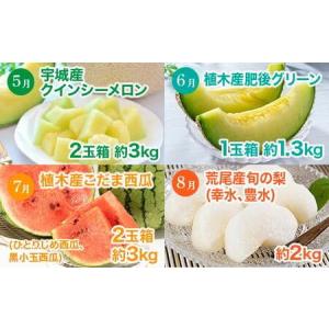 ふるさと納税 【 6か月 連続 定期便 】 熊...の詳細画像2