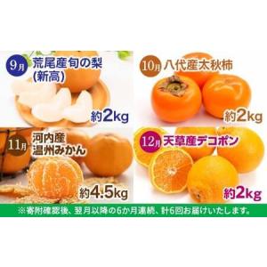 ふるさと納税 【 6か月 連続 定期便 】 熊...の詳細画像3