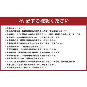 ふるさと納税 【 6か月 連続 定期便 】 熊...の詳細画像4