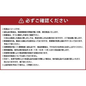 ふるさと納税 【 年 4回 定期便 】 熊本県...の詳細画像2