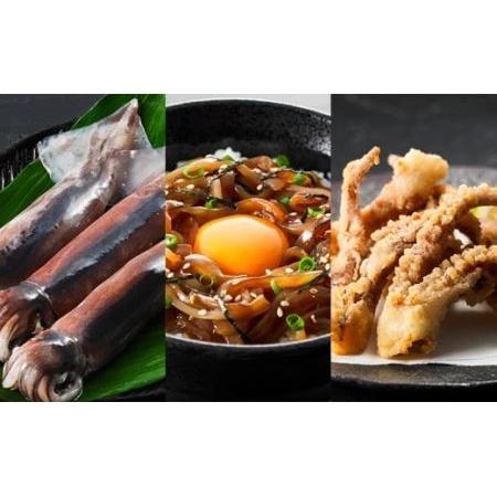 ふるさと納税 寒シマメ三昧セット 島根県海士町