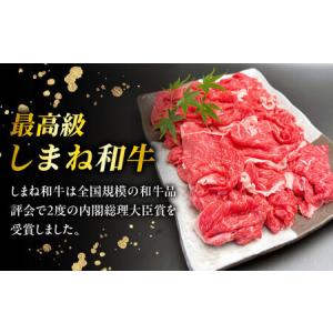 ふるさと納税 【全12回定期便】その旨味、最上...の詳細画像1