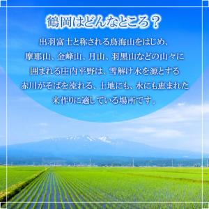 ふるさと納税 【令和8年産 新米】 特別栽培米...の詳細画像3