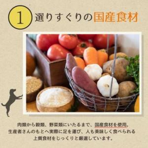 ふるさと納税 【定期便12か月】愛犬ごはん【ひ...の詳細画像3