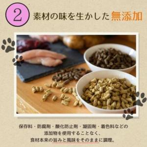 ふるさと納税 【定期便12か月】愛犬ごはん【ひ...の詳細画像4