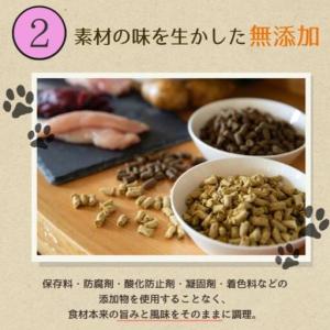 ふるさと納税 【定期便12か月】愛犬ごはん【ひ...の詳細画像4