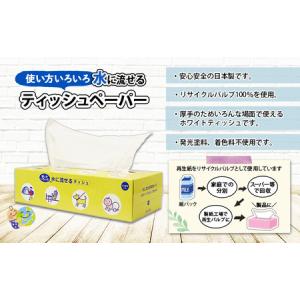 ふるさと納税 水に流せる とけまるくん BOX...の詳細画像2