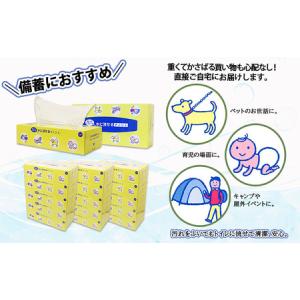 ふるさと納税 水に流せる とけまるくん BOX...の詳細画像3