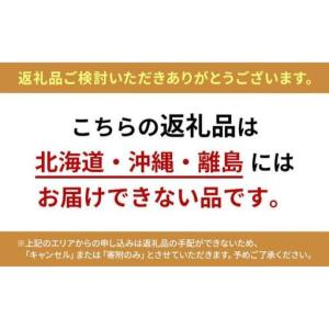 ふるさと納税 ピアノ 電子 GP-3 黒色鏡面...の詳細画像1