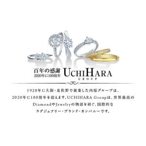 ふるさと納税 ARC-EN-CIEL PTダイ...の詳細画像4