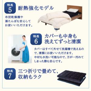 ふるさと納税 【大刀洗町限定】エアウィーヴ 四...の詳細画像4
