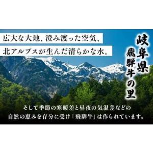 ふるさと納税 【定期便】訳あり 飛騨牛 焼き肉...の詳細画像4
