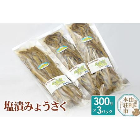 ふるさと納税 山菜 塩漬 みょうさく 300g×3 秋田県由利本荘市