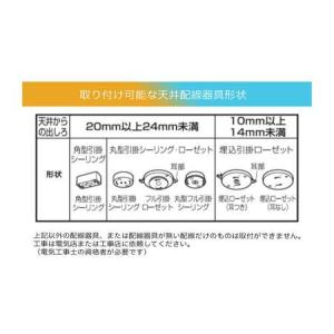 ふるさと納税 LEDシーリングライト 8畳 調...の詳細画像3