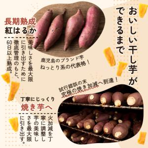 ふるさと納税 a517-E 焼きいもから作った...の詳細画像1