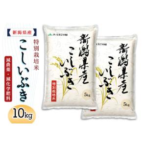 発酵本家の味噌汁 83.5g 約10食分 和心本舗 インスタント 即席 みそ汁