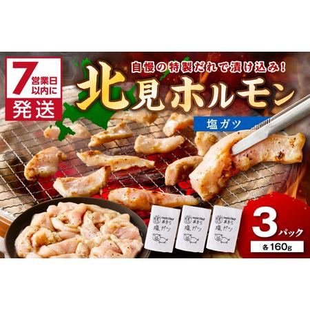 ふるさと納税 《7営業日以内に発送》あきら特製塩ガツ 160g×3パック ( 焼肉 ホルモン 肉 に...