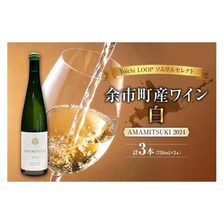 ふるさと納税 Yoichi LOOP ソムリエセレクト 余市町産ワイン AMAMITSUKI 202...