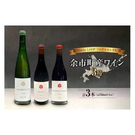 ふるさと納税 Yoichi LOOP ソムリエセレクト 余市町産ワイン【3種】AMAMITSUKI ...