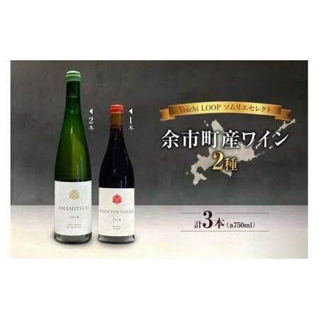 ふるさと納税 Yoichi LOOP ソムリエセレクト 余市町産ワイン【赤/白】AMAMITSUKI...
