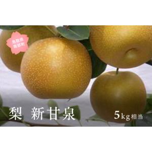 ふるさと納税 新甘泉［梨］（5kg箱）2026年8月下旬〜9月上旬出荷予定＜数量限定＞ 鳥取県南部町