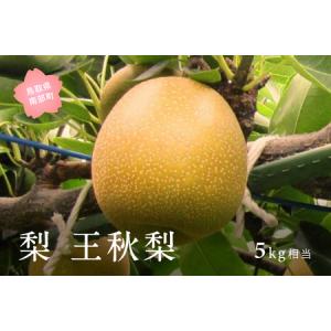 ふるさと納税 王秋梨（5kg箱） 2026年10月下旬出荷予定＜数量限定＞【先行予約】 鳥取県南部町