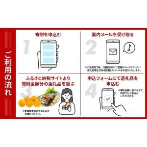 ふるさと納税 あとから選べる オンラインカタロ...の詳細画像2