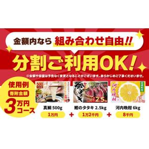 ふるさと納税 あとから選べる オンラインカタロ...の詳細画像3