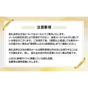 ふるさと納税 あとから選べる オンラインカタロ...の詳細画像4