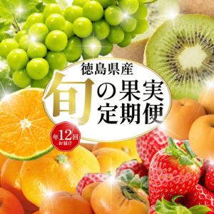 ふるさと納税 旬の果実 定期便 12回 フルーツ 徳島県
