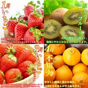 ふるさと納税 旬の果実 定期便 12回 フルー...の詳細画像1
