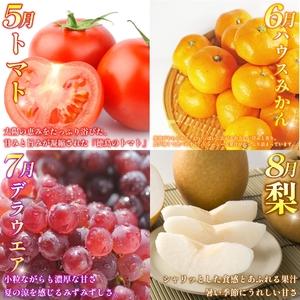 ふるさと納税 旬の果実 定期便 12回 フルー...の詳細画像2