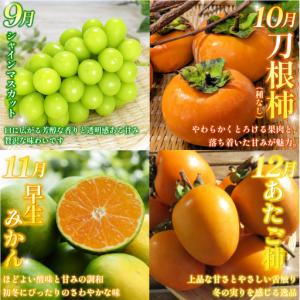 ふるさと納税 旬の果実 定期便 12回 フルー...の詳細画像3
