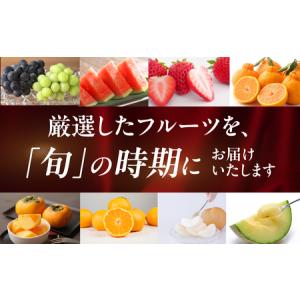 ふるさと納税 フルーツ定期便 12回 プレミア...の詳細画像1