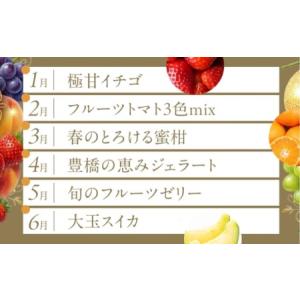 ふるさと納税 フルーツ定期便 12回 プレミア...の詳細画像2