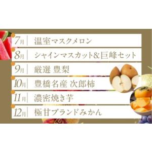 ふるさと納税 フルーツ定期便 12回 プレミア...の詳細画像3