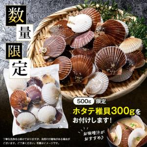 ふるさと納税 【バリュー品】ホタテフレーク貝柱...の詳細画像1