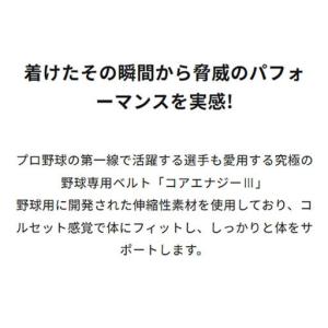ふるさと納税 コアエナジー3 ブラック (バッ...の詳細画像1