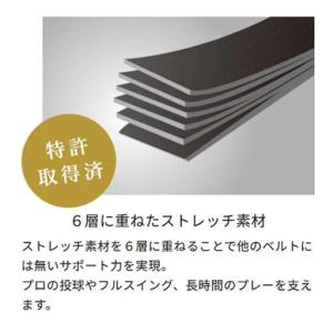 ふるさと納税 コアエナジー3 ブラック (バッ...の詳細画像4
