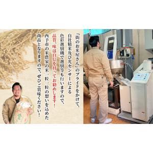 ふるさと納税 【新米】<令和8年産 お米 食べ...の詳細画像2